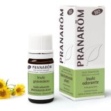 BIOイヌラ(オオグルマ) 精油 5ml Pranarom / プラナロム