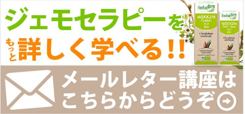 メールレター