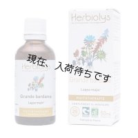 BIOゴボウ マザーティンクチャー 便秘解消、美肌作用  50ml Herbiolys / エルビオリス