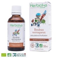 【ジェモレメディ】BIOシラカバ・利尿作用、関節痛を緩和 50ml (単体植物) Herbiolys / エルビオリス