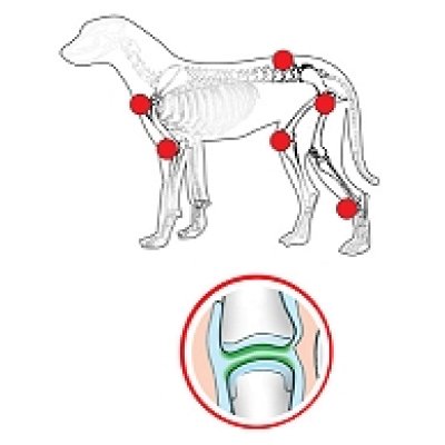 画像2: 犬猫用サプリメント・アンチコックスHDウルトラ 50錠 (ペットの関節、腱ケアに) Anibio / アニビオ
