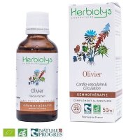 【ジェモレメディ】BIOオリーブ コレステロール値の安定化、脳のケア 50ml (単体植物) Herbiolys / エルビオリス