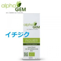   BIOイチジク リラックスや不眠解消に・50ml (単体植物) AlphaGEM / アルファジェム 