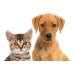 画像4: 犬猫用BIOサプリメント オオバコ 300g (消化補助や減量に)  FLORALPINA / フロラルピナ (4)