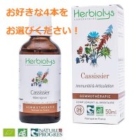 BIO単体植物ジェモレメディ 50mlx4本セット  Herbiolys / エルビオリス