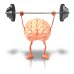 画像5: BIOオリーブ・ジェモレメディ・コレステロール値の安定化や脳の働きを高める 50ml (単体植物) Herbalgem /ハーバルジェム