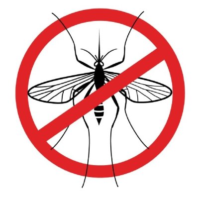 画像2: サマーキャンドル・蚊や虫よけ対策に 150g Aromandise / アロマンディーズ