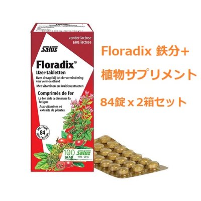画像1: Floradix 鉄分+植物サプリメント  鉄分補給や妊活サポートに 84錠x2箱セット Salus / サルス