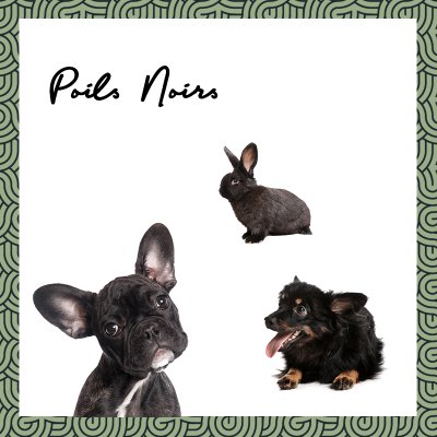 画像3: BIO犬猫向け固形シャンプー (黒い毛向け) 60ml PEPET'S / ペペッツ