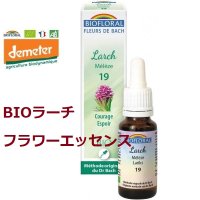 【フラワーエッセンス】No.19 BIOラーチ (ヨーロッパカラマツ) 自信をつける 15ml  Biofloral / ビオフローラル