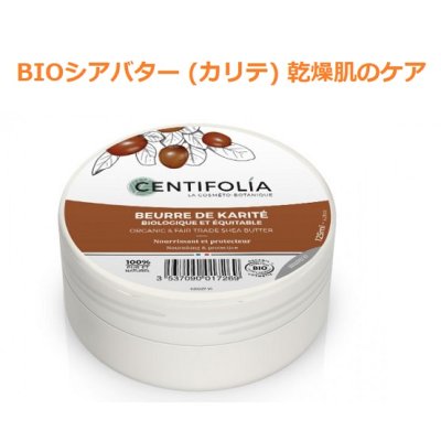 画像1: BIOシアバター (カリテ) 乾燥肌のケアに 125ml・Centifolia / センティフォリア