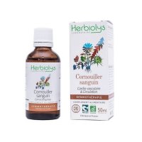 【ジェモレメディ】BIO西洋ミズキ 動脈浄化、心臓血管強化 50ml (単体植物) Herbiolys / エルビオリス