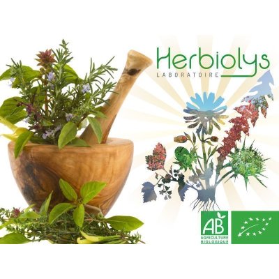画像3: BIO単体植物ジェモレメディ 50mlx4本セット  Herbiolys / エルビオリス