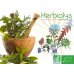 画像3: BIO単体植物ジェモレメディ 50mlx4本セット  Herbiolys / エルビオリス (3)