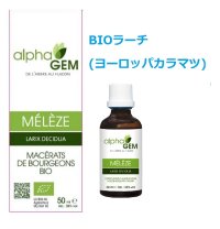  BIOラーチ (ヨーロッパカラマツ)・呼吸器強化、疲労緩和  50ml (単体植物) AlphaGEM / アルファジェム