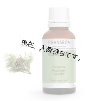 アカマツ・ヨーロッパ (パイン)精油 30ml Pranarom / プラナロム