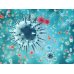 画像3: サノジェム・ジェモレメディ入りグミ / ウィルス対策、免疫力アップ 60粒入 Herbalgem / ハーバルジェム (3)