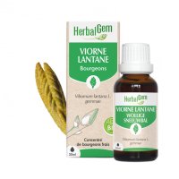 BIOランタナガマズミ・ジェモレメディ 喘息やアレルギー、皮膚疾患対策に 30ml (単体植物) Herbalgem /ハーバルジェム