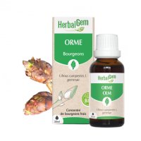 BIOニレ・ジェモレメディ・湿疹改善や肌質の向上に 30ml (単体植物) Herbalgem /ハーバルジェム