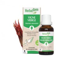BIOアメリカヅタ・ジェモレメディ・関節痛やリウマチのケアに 30ml (単体植物) Herbalgem /ハーバルジェム