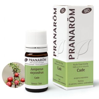 BIOフランキンセンス(乳香 )精油 5ml Pranarom / プラナロム